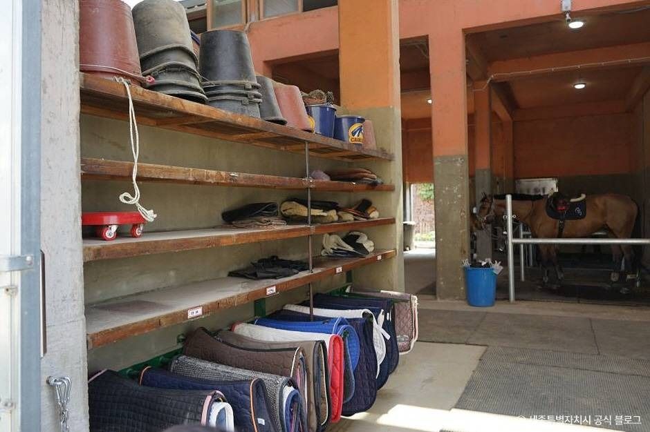 세종_세종스테이블 (6)