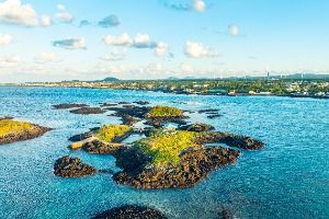 제주_다려도 (5)