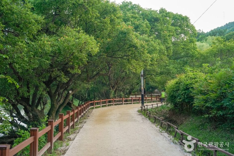 thumbnail-진해내수면 환경생태공원-3