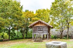 김해_김해 봉황동 유적 (5)