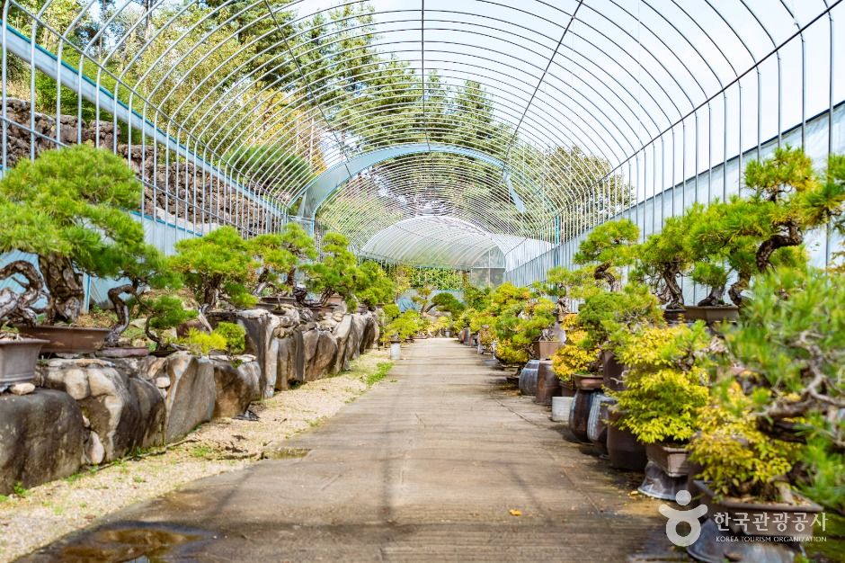 아름다운정원 화수목