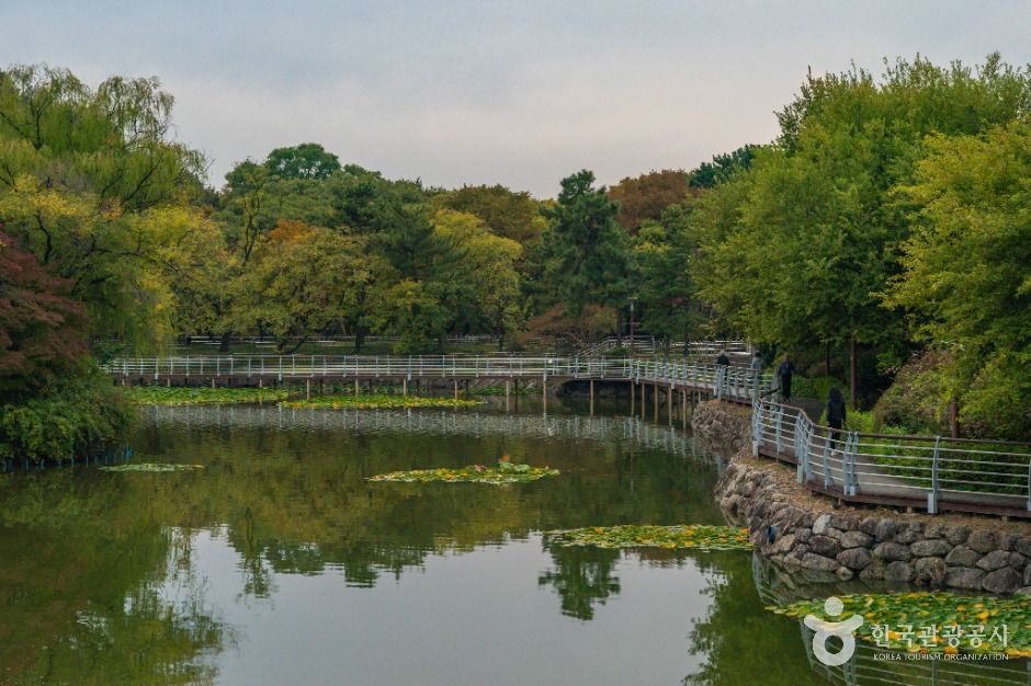 thumbnail-성당못-5