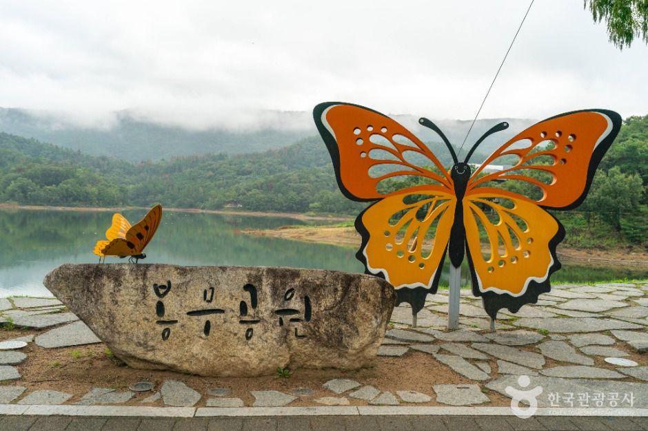 [대구올레 팔공산 6코스] 단산지 가는 길