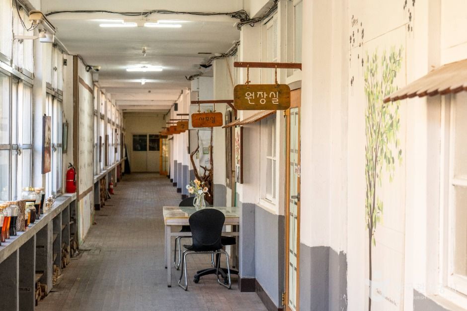 제천_공전자연학교 (2)