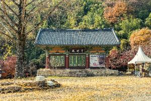 화순_개천사 (3)