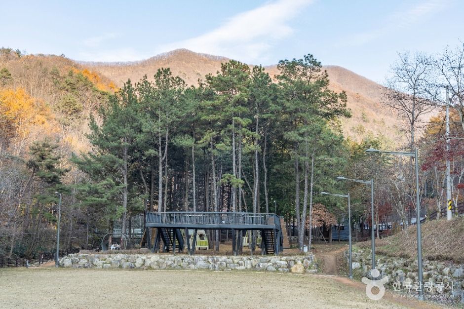 임실_왕의숲 국민여가캠핑장 (11)