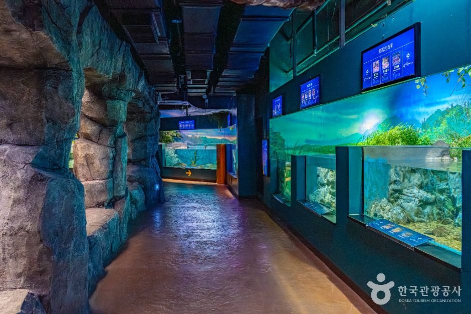 울진_민물고기생태체험관 (4)