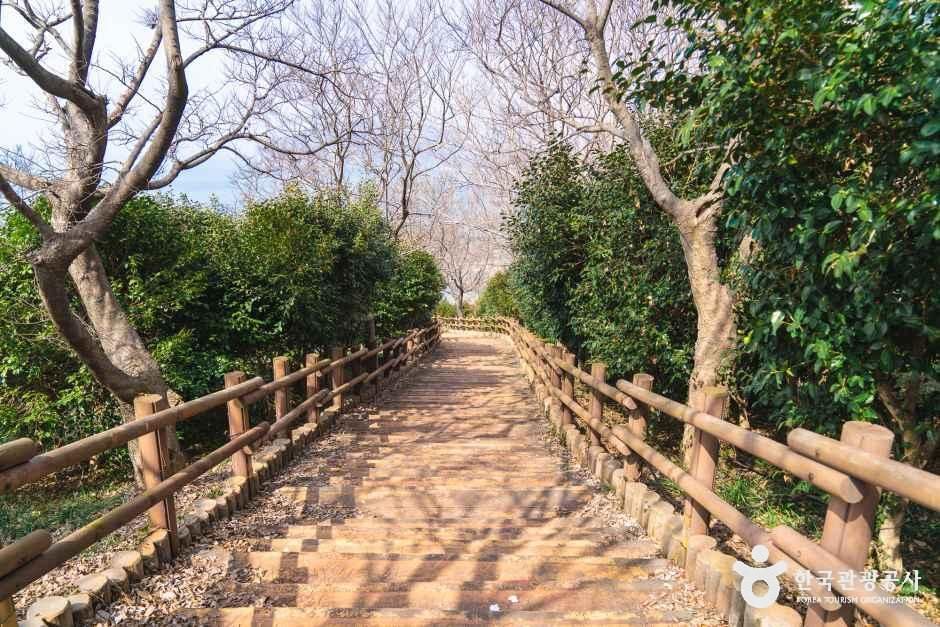 thumbnail-백수해안도로-19