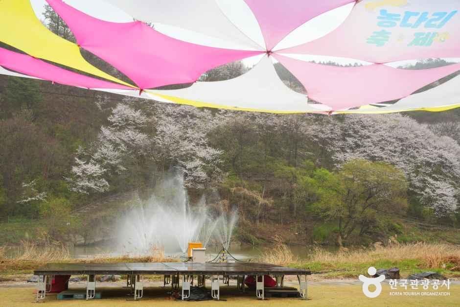 thumbnail-진천 농다리-6