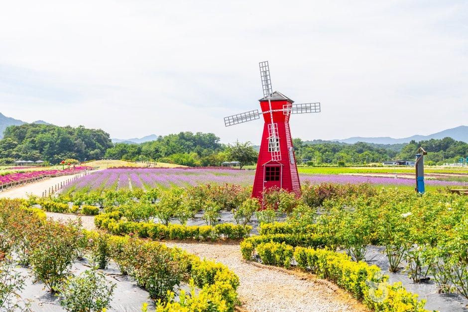 thumbnail-Nari Farm (나리농원)-7