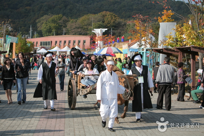 Icheon Rice Cultural Festival (이천쌀문화축제)