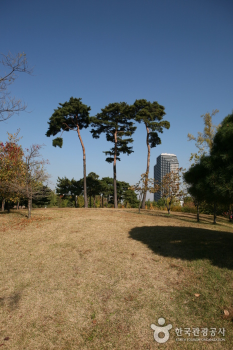 Yeouido Park (여의도 공원)