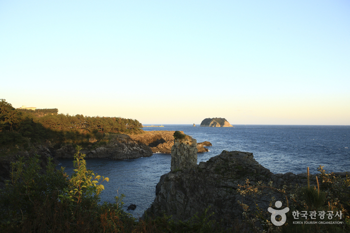 [제주올레 7코스] 서귀포-월평 올레9