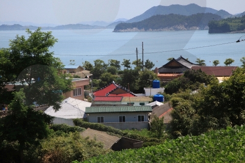 추도 사진1