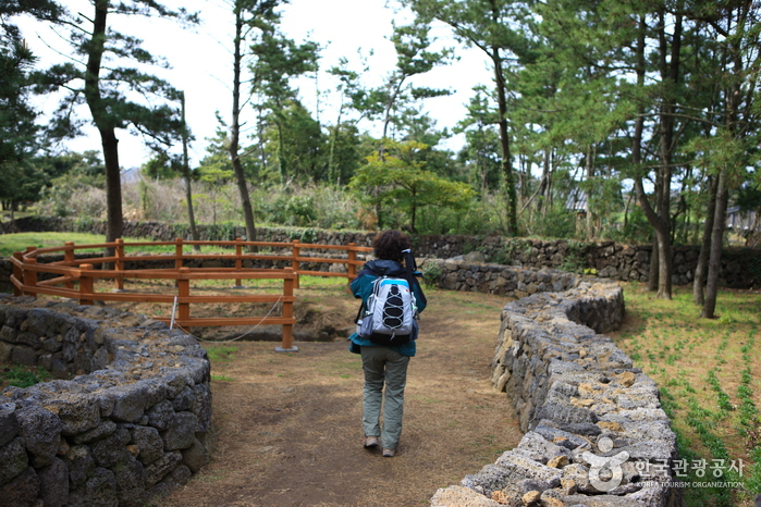 [제주올레 2코스] 광치기-온평 올레4