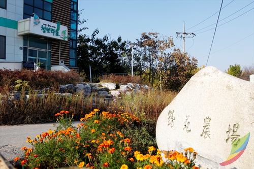 Borinara Hagwon Farm (보리나라 학원농장)