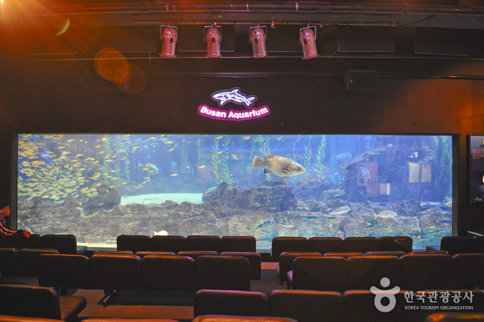 Busan Aquarium (부산아쿠아리움)