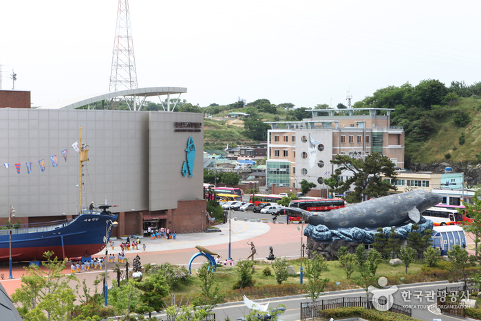 Aquarium de baleines à Jangsaengpo (장생포 고래생태체험관)