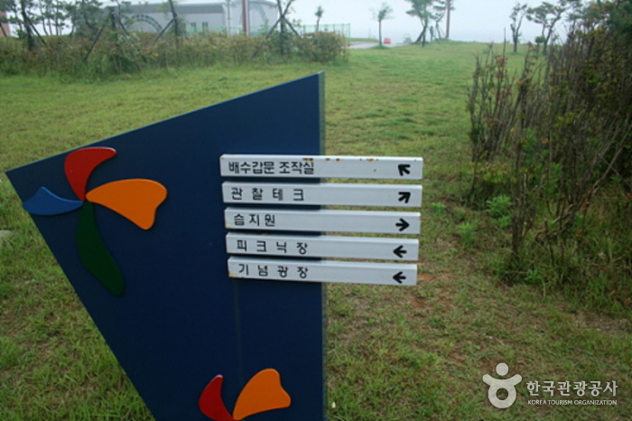 새만금 사진4