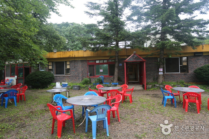 김철우멧돼지마을2