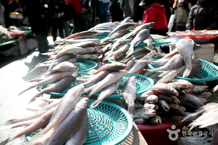 釜山机张市场(부산 기장시장)