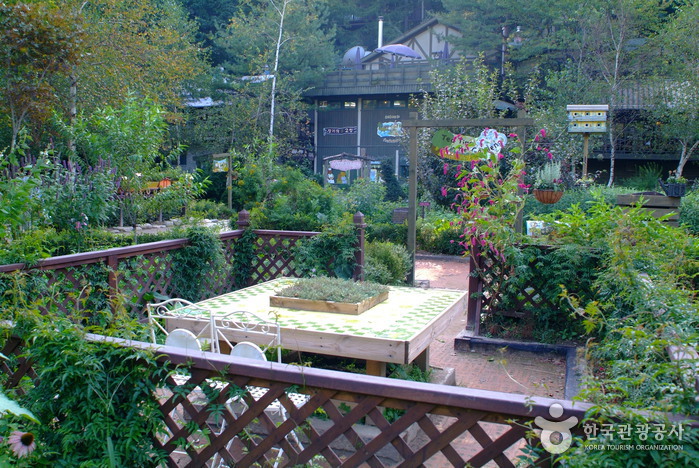 Herbnara Farm (허브나라농원)
