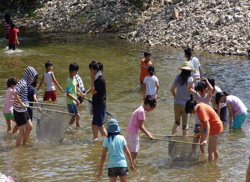 양평 물놀이 축제 2014