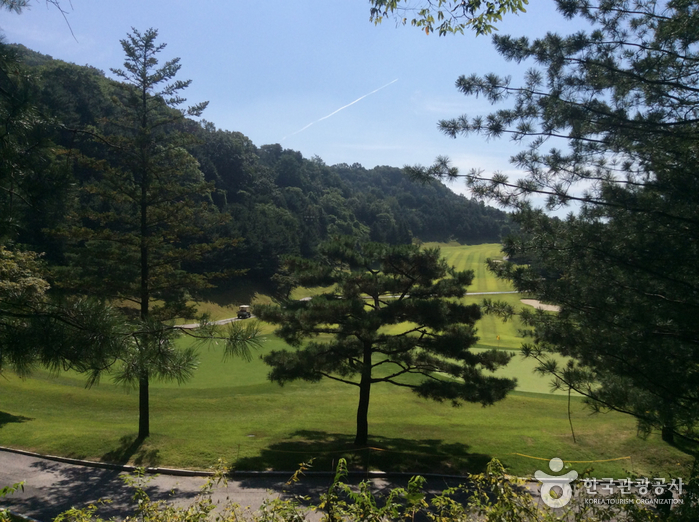 블루버드컨트리클럽1