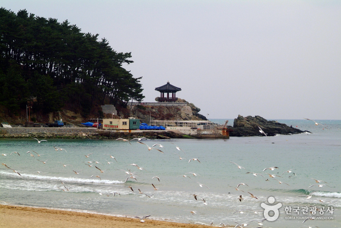 Songjeong Beach (송정해수욕장)