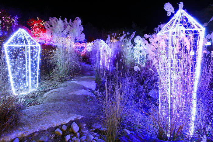 별빛따라 두메향기3