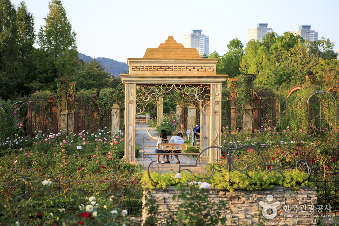 Hanbat Arboretum (한밭수목원)