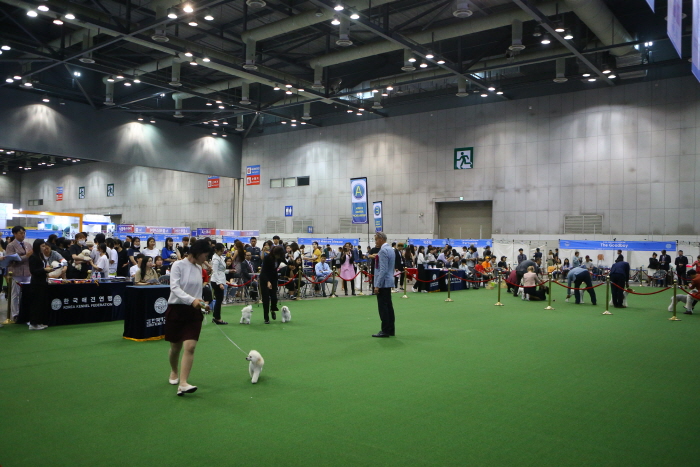 코리아 프리미어 도그쇼 20191