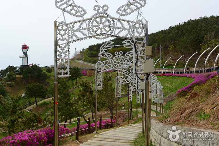 Yeongdeok Sunrise Park (영덕 해맞이공원)