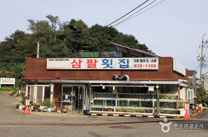 三八生鱼片店(38횟집 (삼팔횟집))