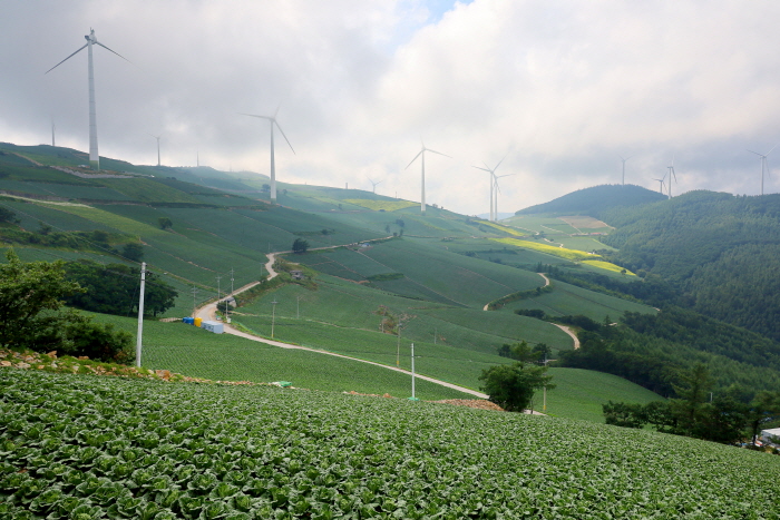 Wind power plant complex installed in the ridges of Maebongsan Mountain