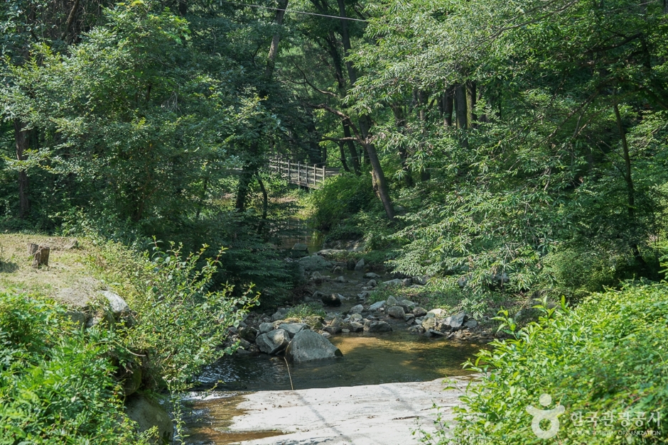 마니산국민관광지(12)