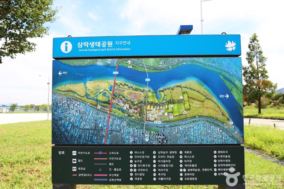  삼락강변체육공원인라인스케이트장 (2)