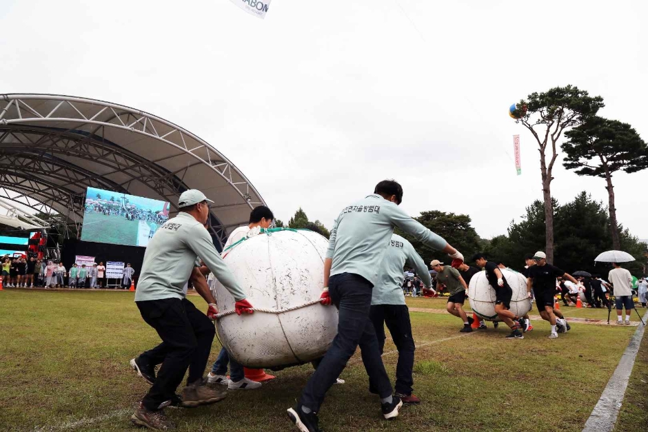 장수 한우랑 사과랑 축제