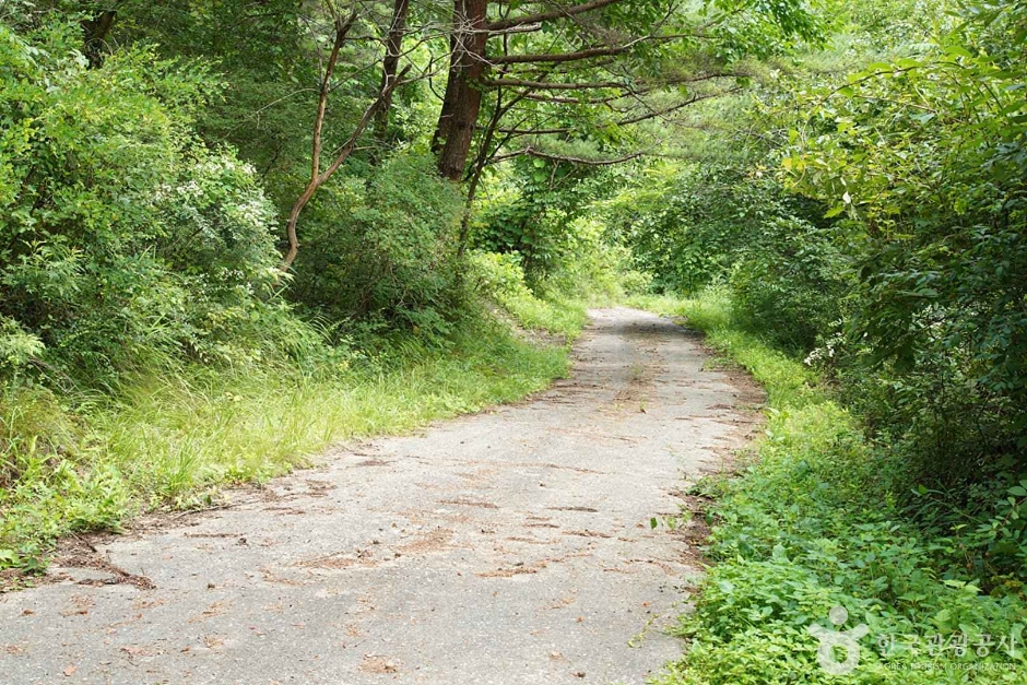 기우산(정선)