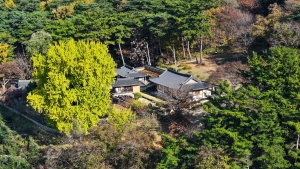 금시당 (1)