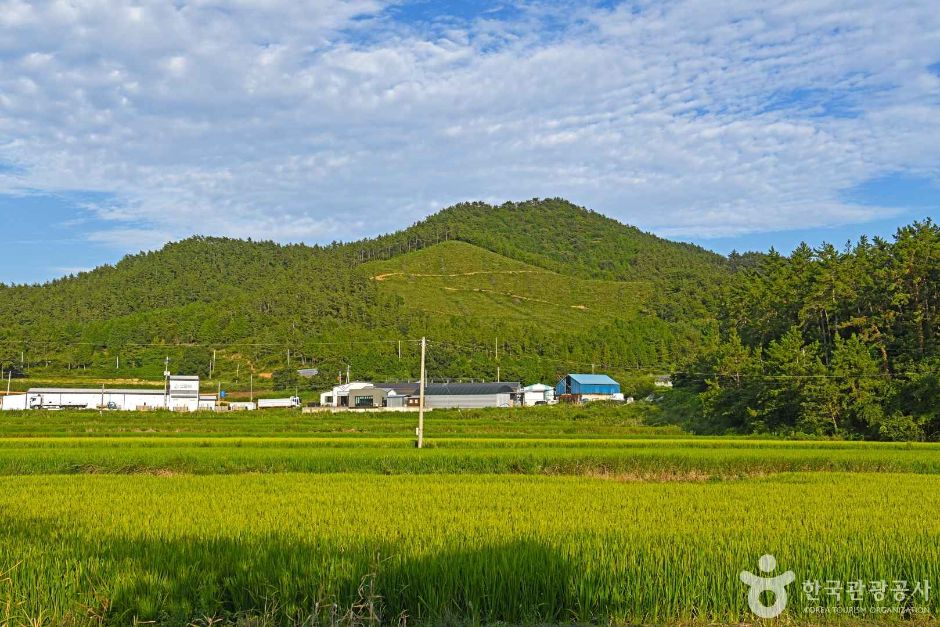 해남_대죽마을 (2)