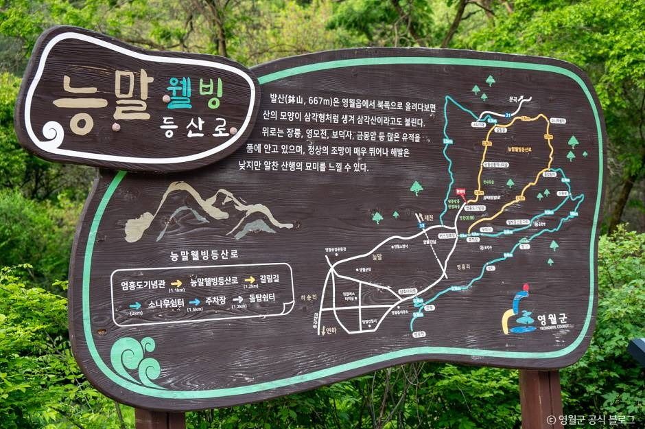 물무리골생태습지
