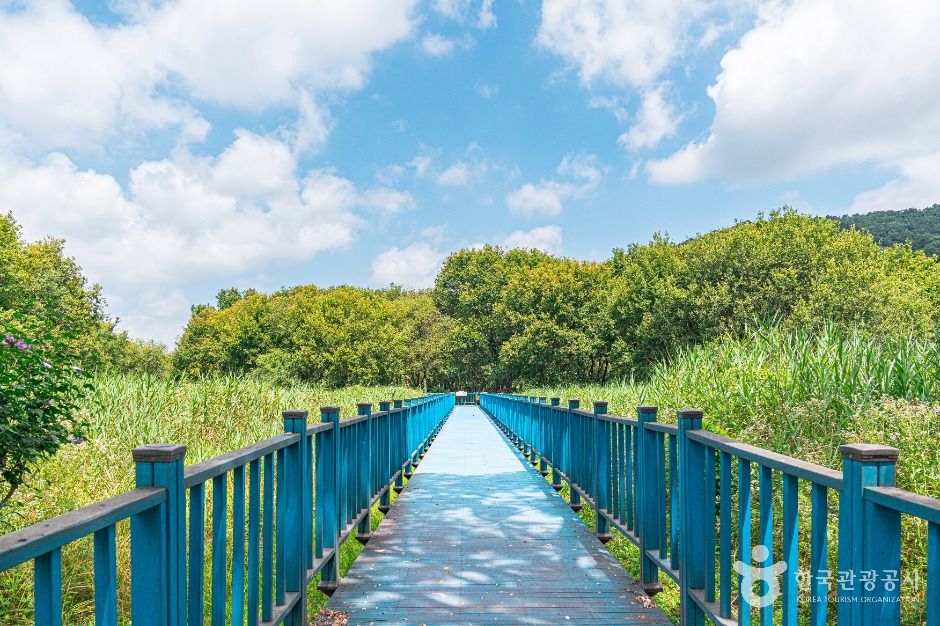 Gwangjuho Lake Eco Park (광주호 호수생태원)