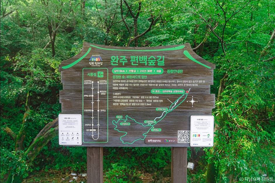 상관 공기마을 편백숲