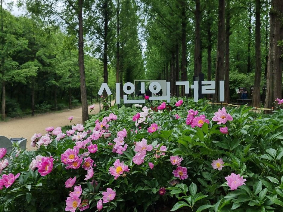 [서울둘레길 15코스] 노을·하늘공원코스