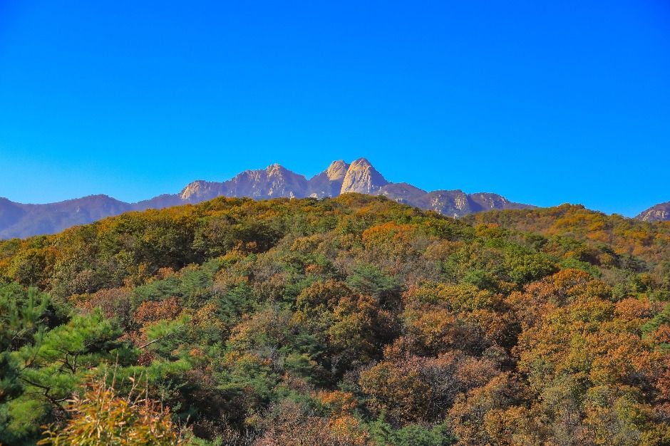 thumbnail-[서울둘레길 21코스] 북한산 도봉코스-9