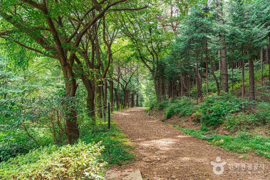 문수산산림욕장
