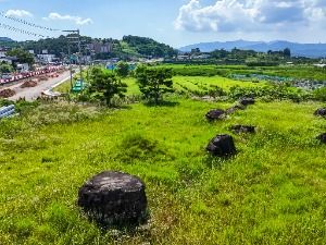 청도_청도 범곡리 지석묘군 (4)