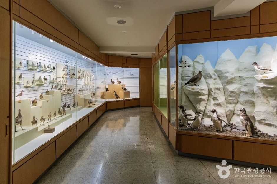 thumbnail-경희대학교 자연사박물관-46