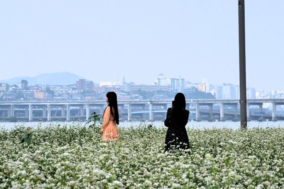 2025 한강페스티벌 8